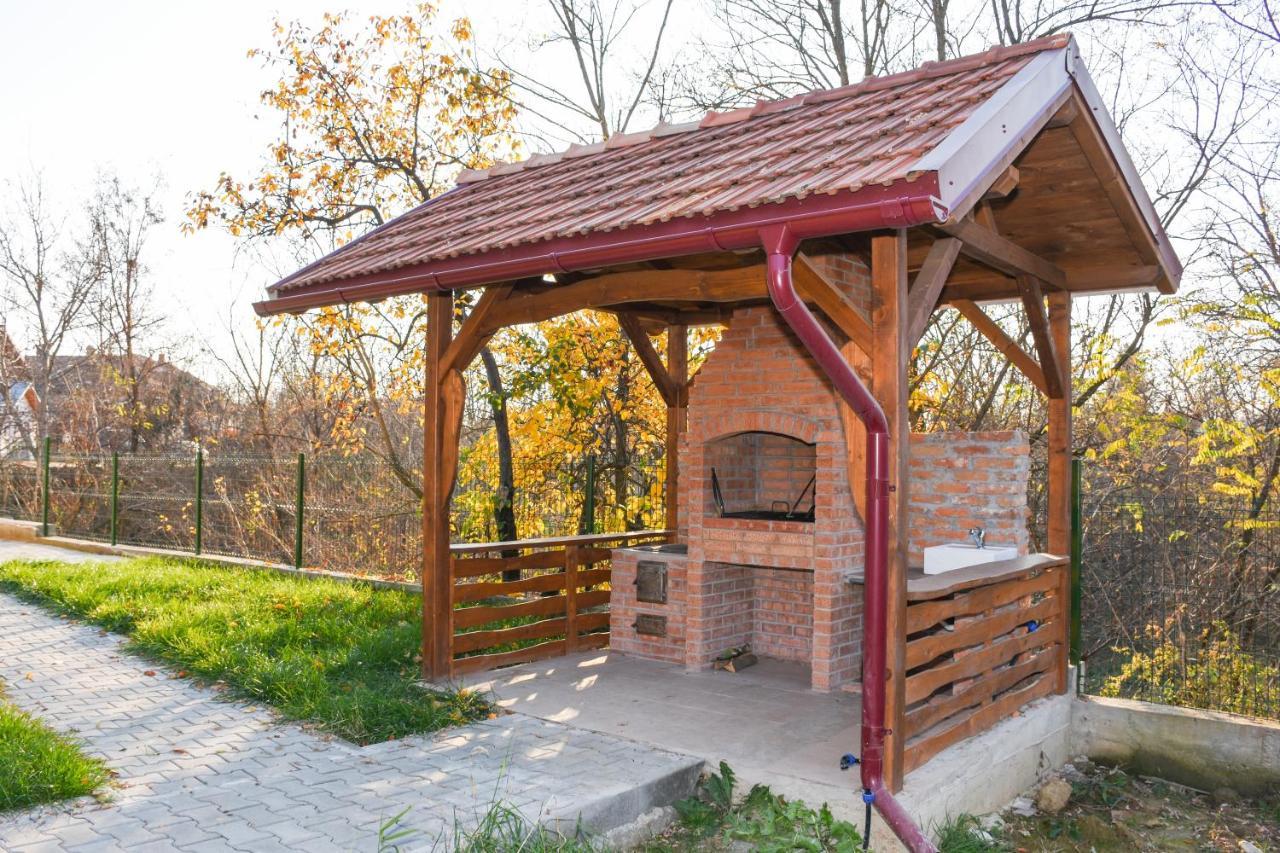 Tomis House Hotel Curtea De Arges Luaran gambar